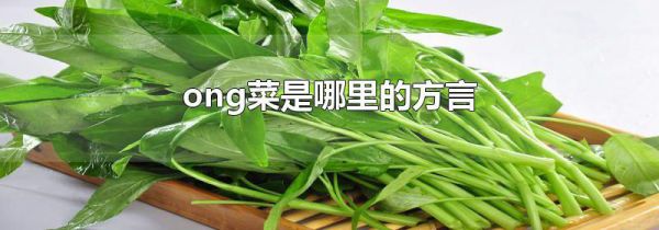 ong菜是哪里的方言