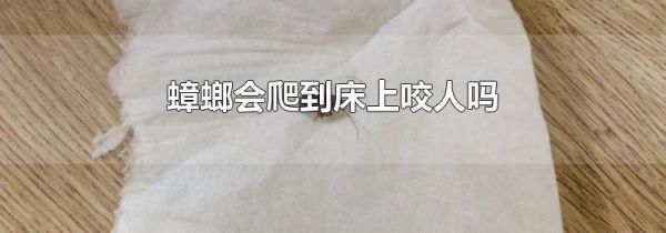 蟑螂会爬到床上咬人吗