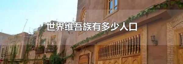 世界维吾族有多少人口