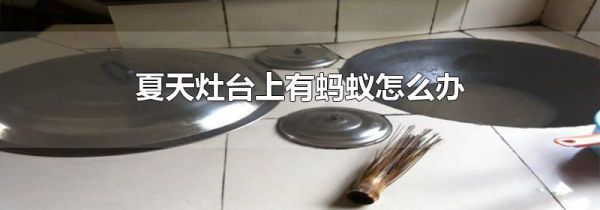 夏天灶台上有蚂蚁怎么办
