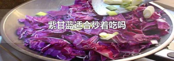 紫甘蓝适合炒着吃吗