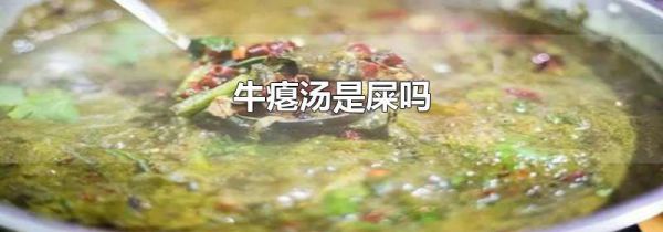 牛瘪汤是屎吗