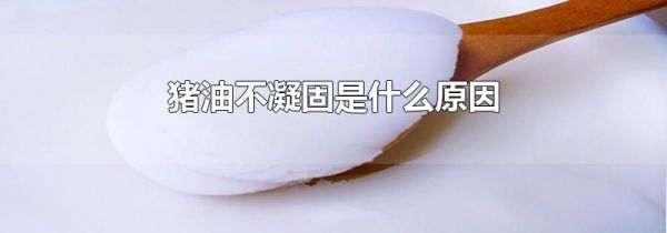 猪油不凝固是什么原因