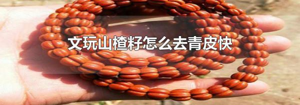 文玩山楂籽怎么去青皮快
