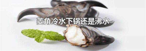 菱角冷水下锅还是沸水
