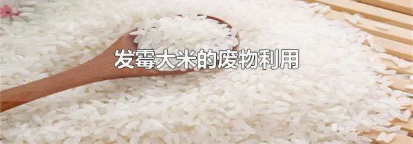 发霉大米的废物利用