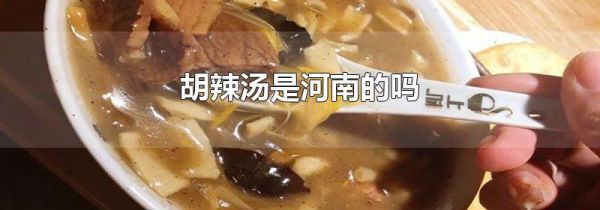 胡辣汤是河南的吗
