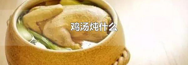 鸡汤炖什么