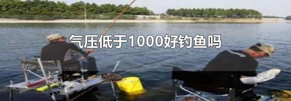 气压低于1000好钓鱼吗