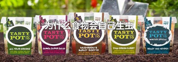 为什么食物会自己生虫