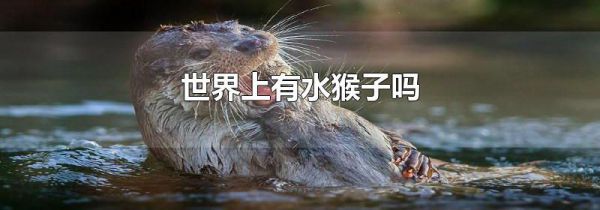 世界上有水猴子吗