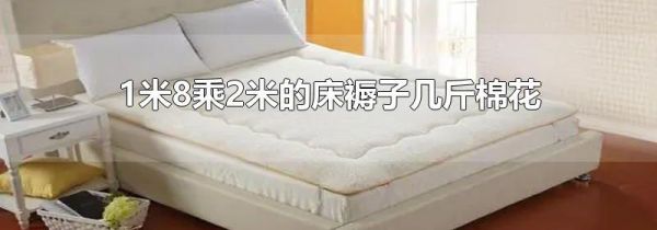 1米8乘2米的床褥子几斤棉花