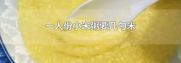 一人份小米粥要几勺米
