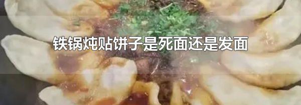 铁锅炖贴饼子是死面还是发面