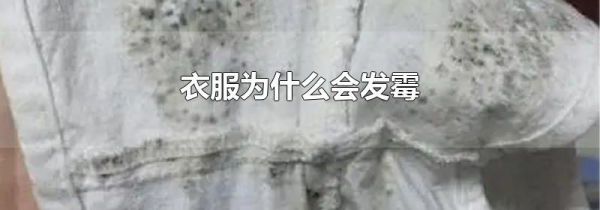 衣服为什么会发霉