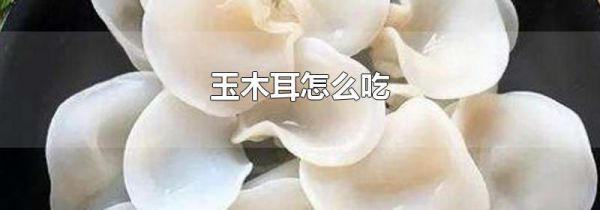 玉木耳怎么吃