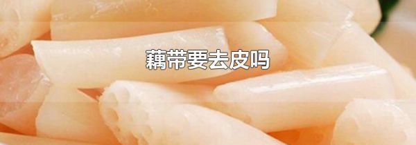 藕带要去皮吗