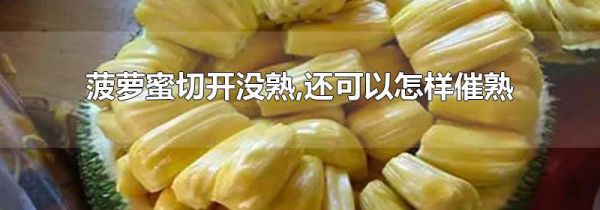 菠萝蜜切开没熟,还可以怎样催熟