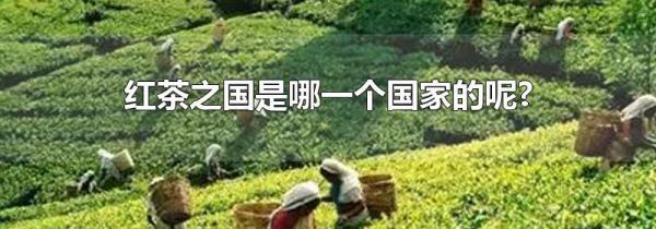 红茶之国是哪一个国家的呢?