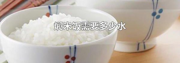 焖米饭需要多少水
