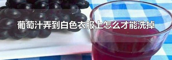 葡萄汁弄到白色衣服上怎么才能洗掉