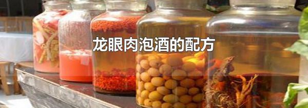 龙眼肉泡酒的配方
