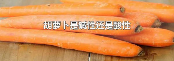 胡萝卜是碱性还是酸性