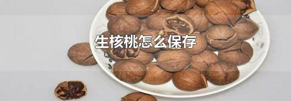 生核桃怎么保存