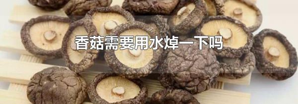 香菇需要用水焯一下吗