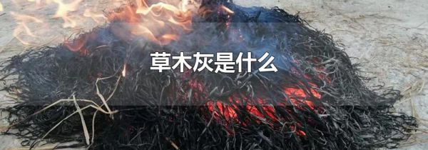 草木灰是什么