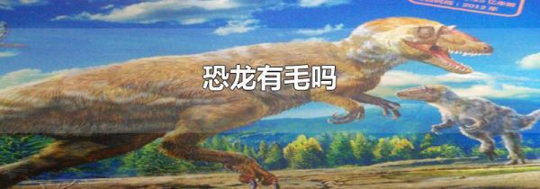 恐龙有毛吗