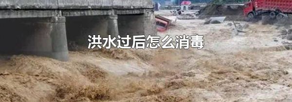 洪水过后怎么消毒