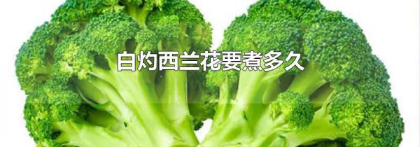 白灼西兰花要煮多久