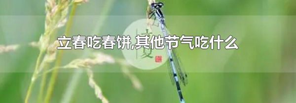 立春吃春饼,其他节气吃什么