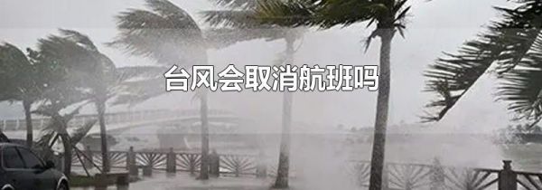 台风会取消航班吗
