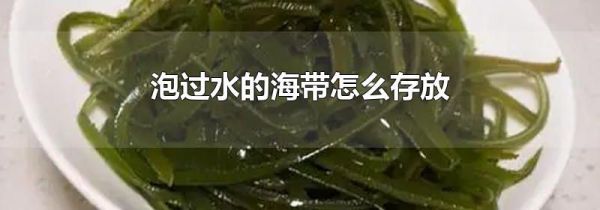 泡过水的海带怎么存放