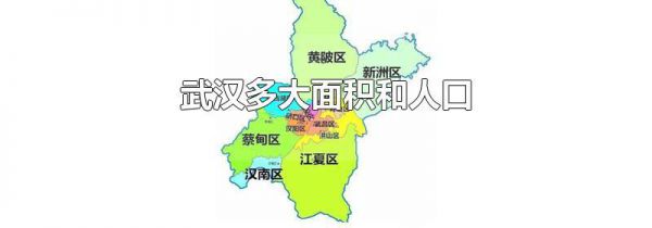 武汉多大面积和人口