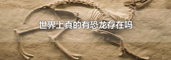世界上真的有恐龙存在吗