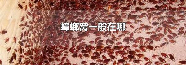 蟑螂窝一般在哪