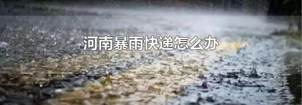 河南暴雨快递怎么办