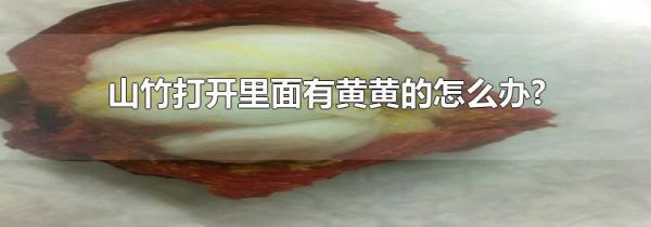 山竹打开里面有黄黄的怎么办?