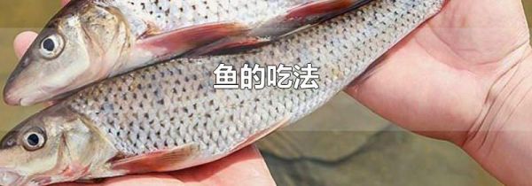 鱼的吃法