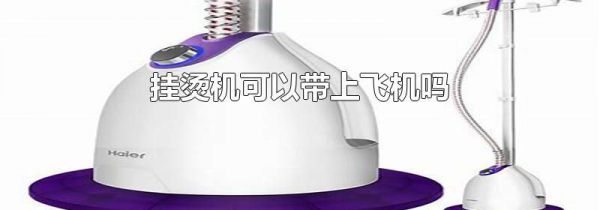 挂烫机可以带上飞机吗