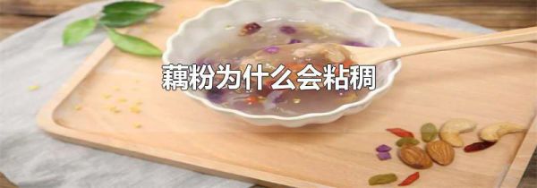 藕粉为什么会粘稠