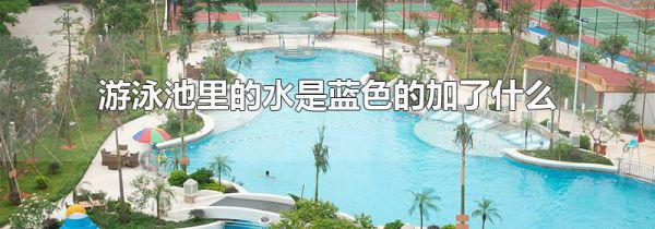 游泳池里的水是蓝色的加了什么