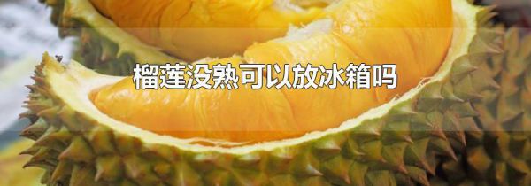 榴莲没熟可以放冰箱吗