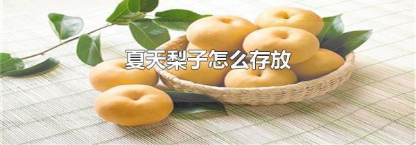 夏天梨子怎么存放