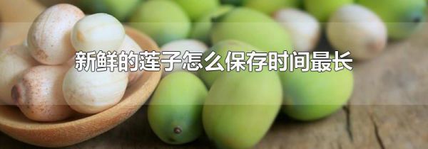 新鲜的莲子怎么保存时间最长