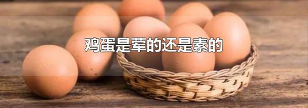 鸡蛋是荤的还是素的