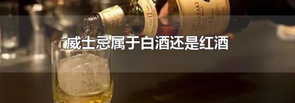 威士忌属于白酒还是红酒